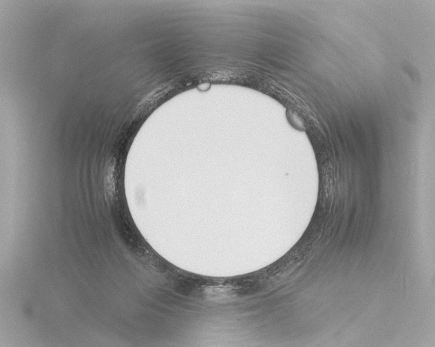 X0000115500216200912181431