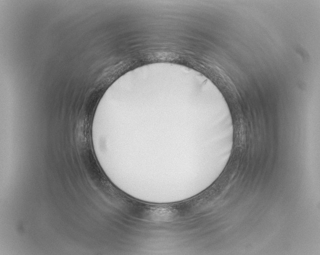X0000115500218200912181431