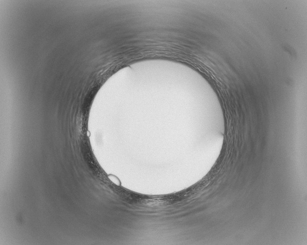 X0000115500219200912181431