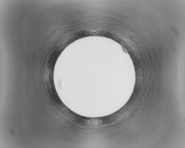 X0000115500225200912181430