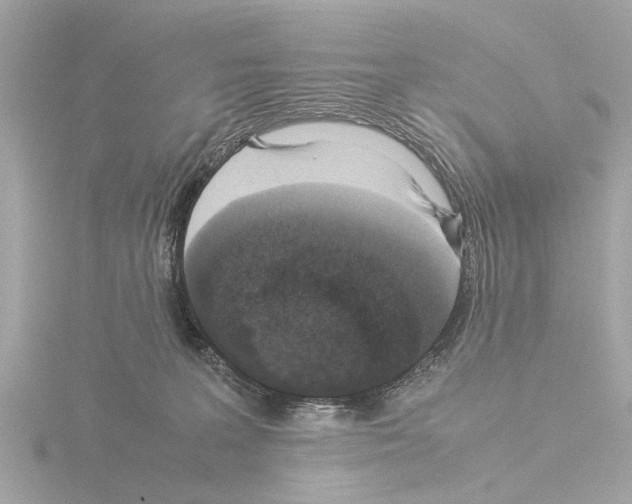 X0000115500227200912181430