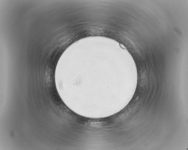 X0000115500228200912181430