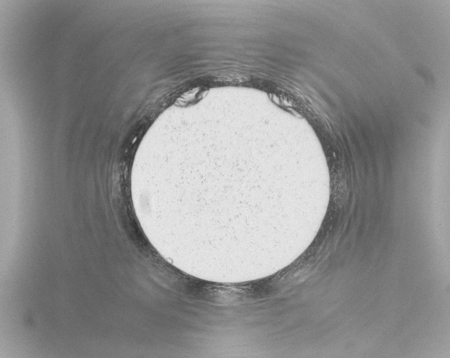X0000115500229200912181430