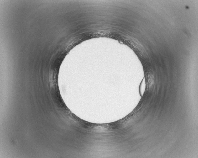 X0000115500236200912181430
