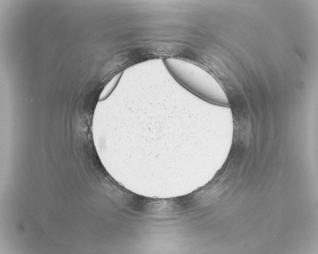 X0000115500237200912181430