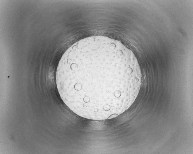 X0000115500238200912181430