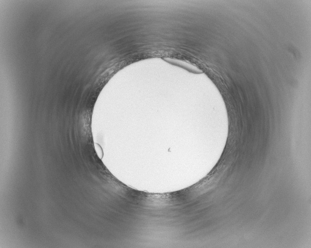 X0000115500240200912181430