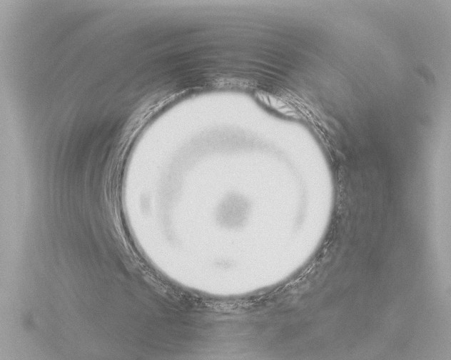 X0000115500241200912181430