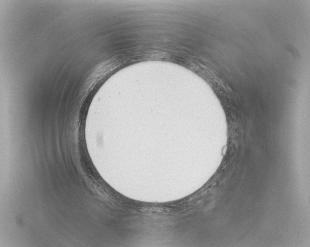 X0000115500242200912181430