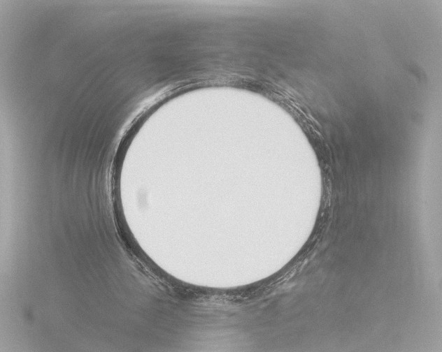 X0000115500244200912181430