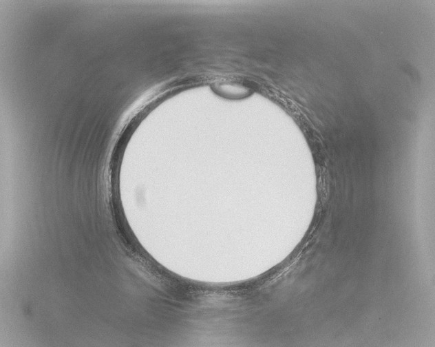 X0000115500246200912181430
