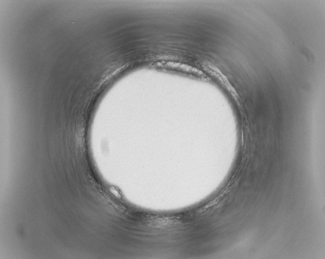 X0000115500249200912181430