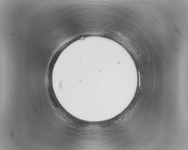 X0000115500252200912181430