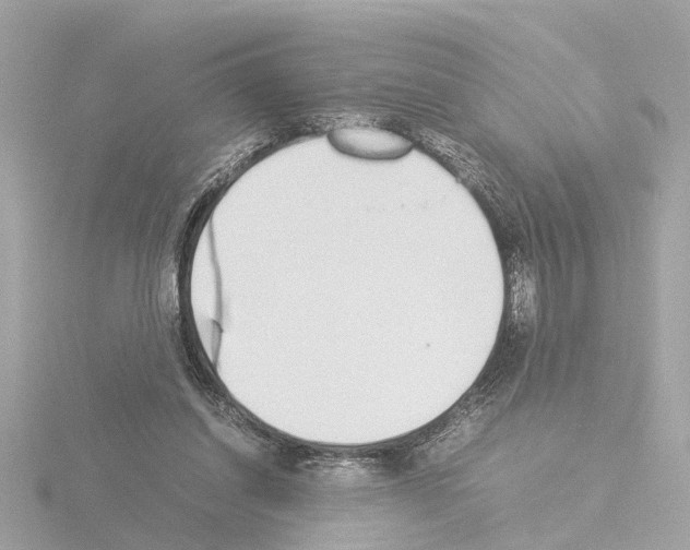 X0000115500254200912181430