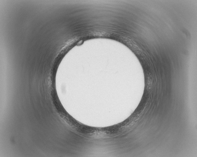 X0000115500256200912181430