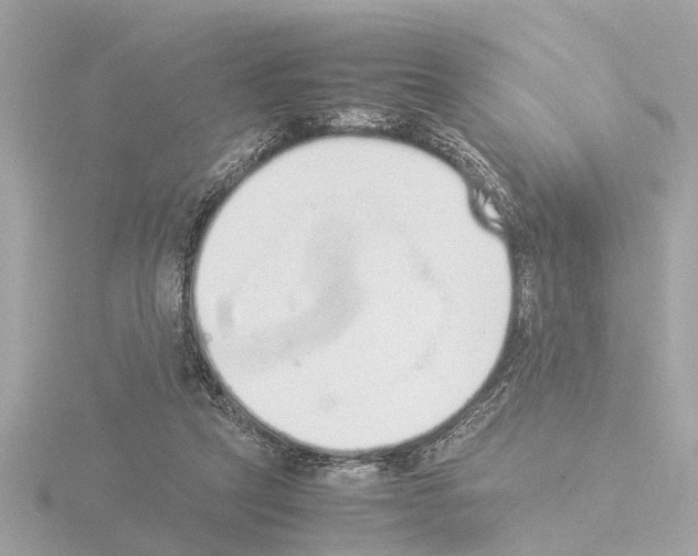 X0000115500257200912181430