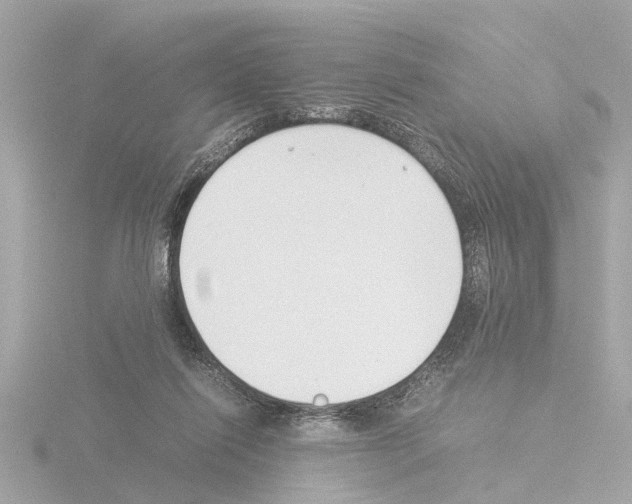 X0000115500262200912181430
