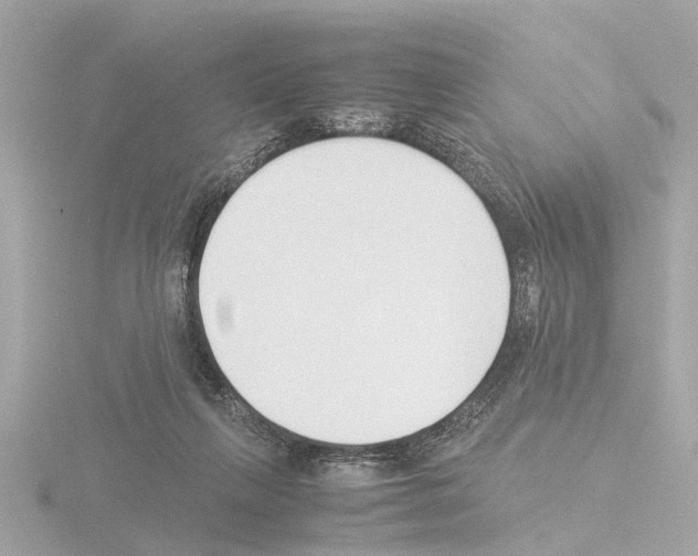 X0000115500263200912181430