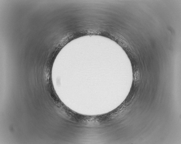 X0000115500264200912181430