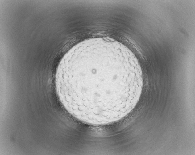 X0000115500265200912181430