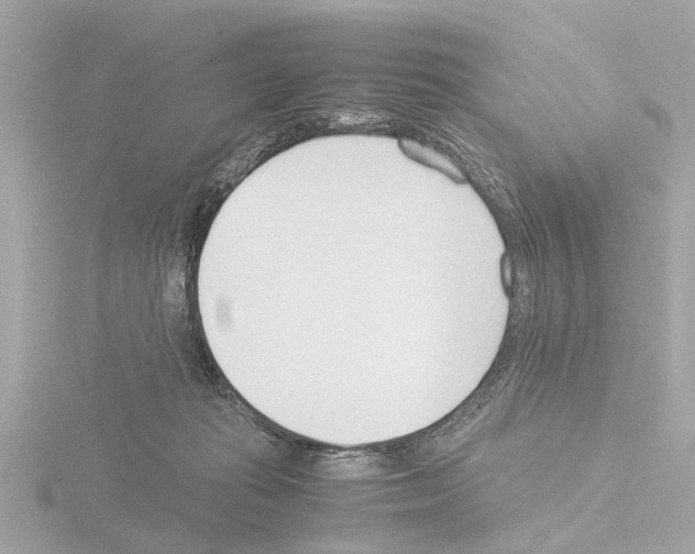 X0000115500269200912181430