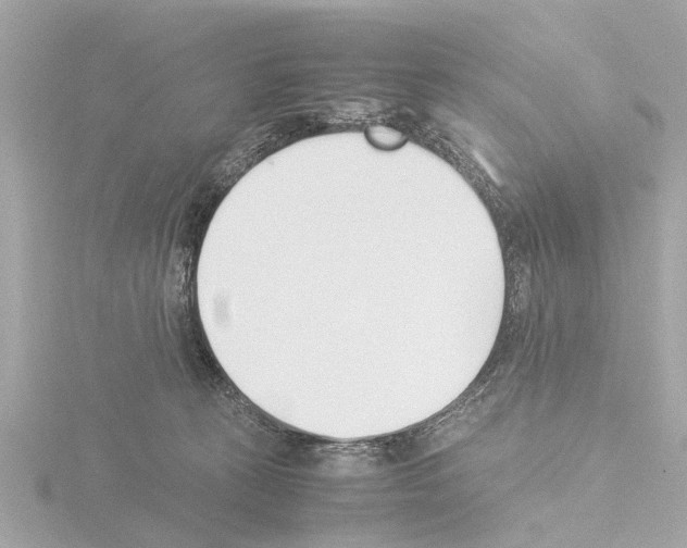 X0000115500273200912181430
