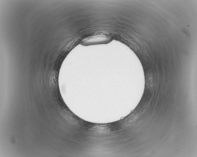 X0000115500280200912181430