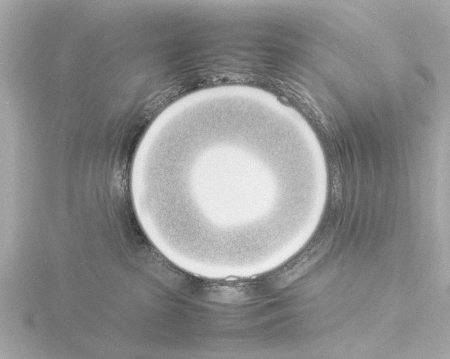 X0000115500285200912181430