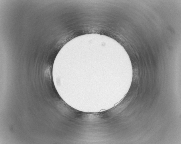 X0000115500286200912181430