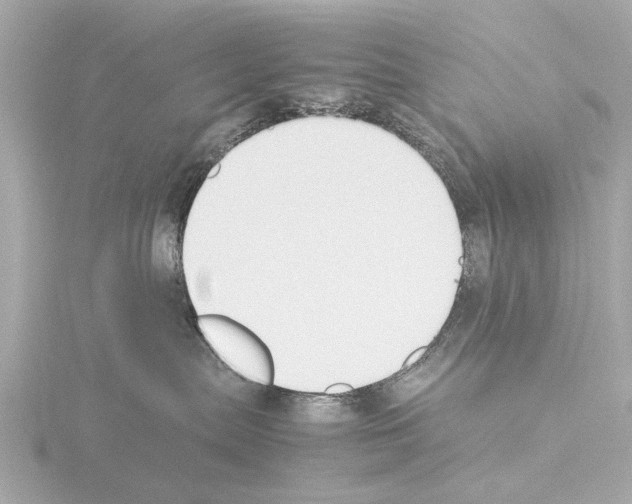 X0000115500287200912181430