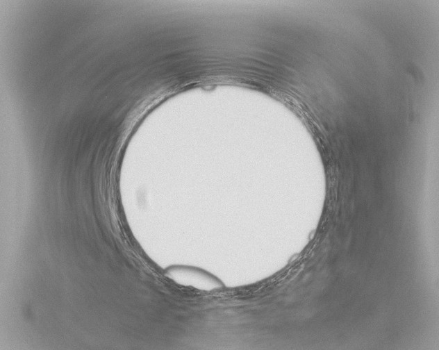 X0000115500289200912181430