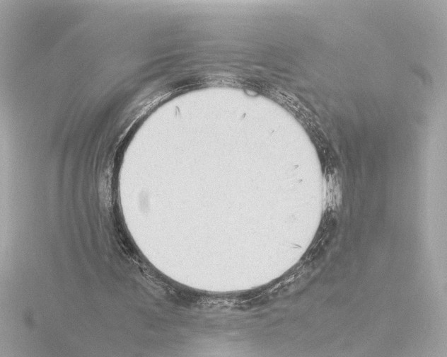 X0000115500291200912181430