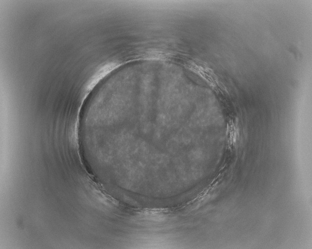 X0000115500292200912181430