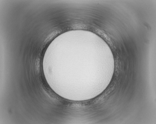 X0000115500298200912181430