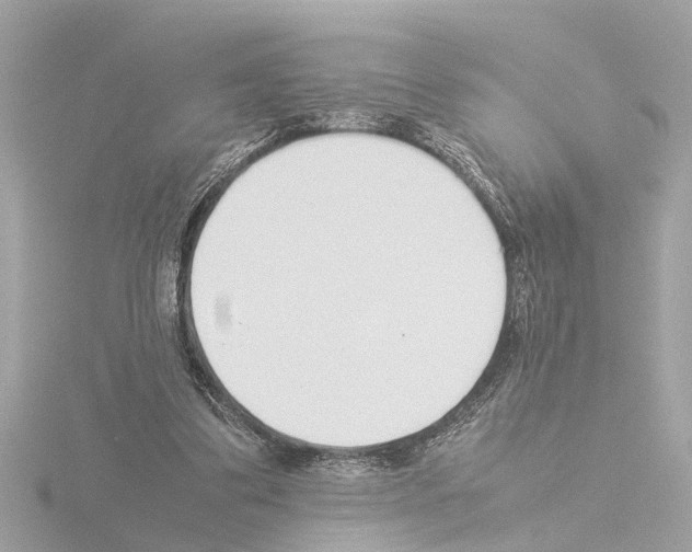 X0000115500299200912181430