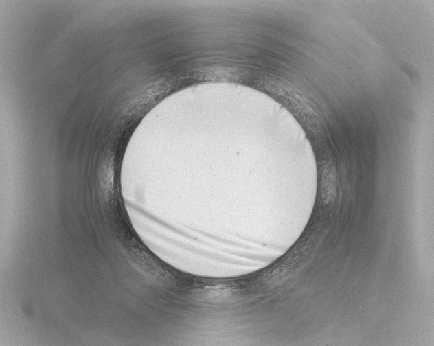 X0000115500310200912181429