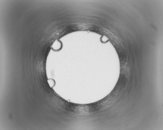 X0000115500317200912181429