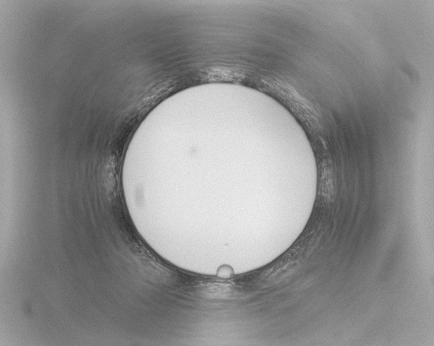 X0000115500318200912181429