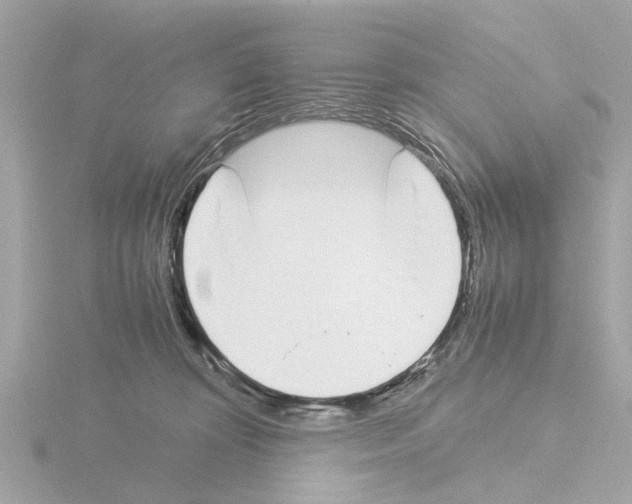X0000115500324200912181429