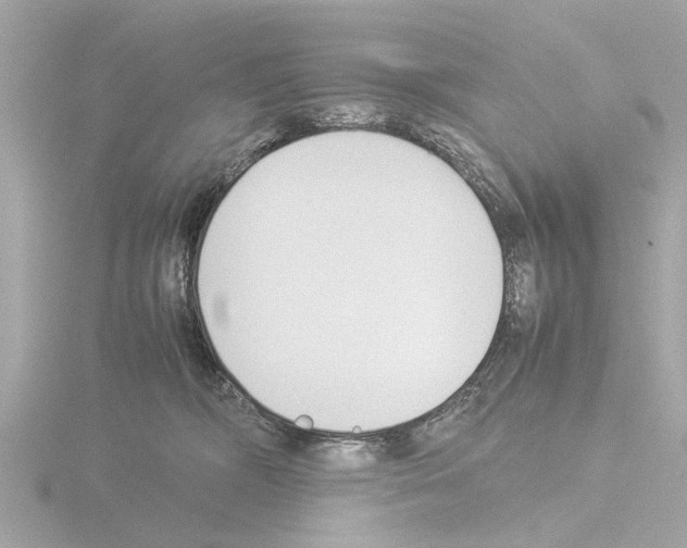 X0000115500326200912181429