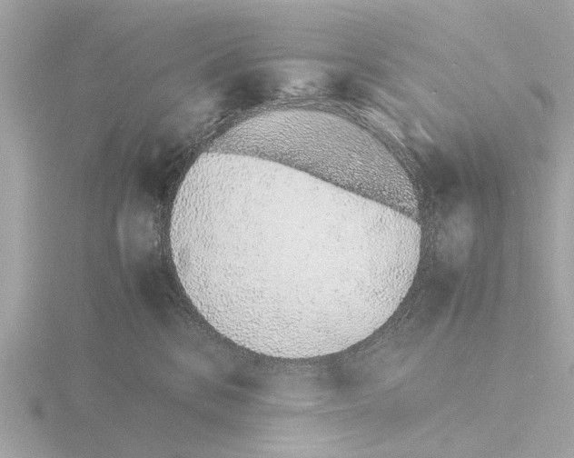 X0000115500328200912181429