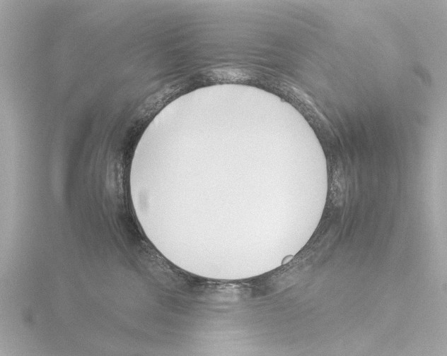 X0000115500330200912181429