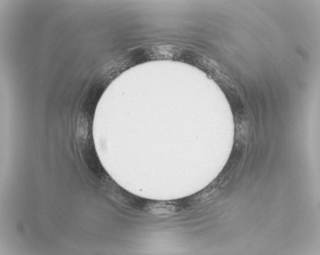 X0000115500331200912181429