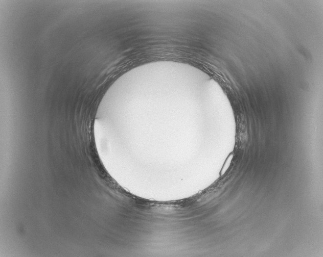 X0000115500332200912181429