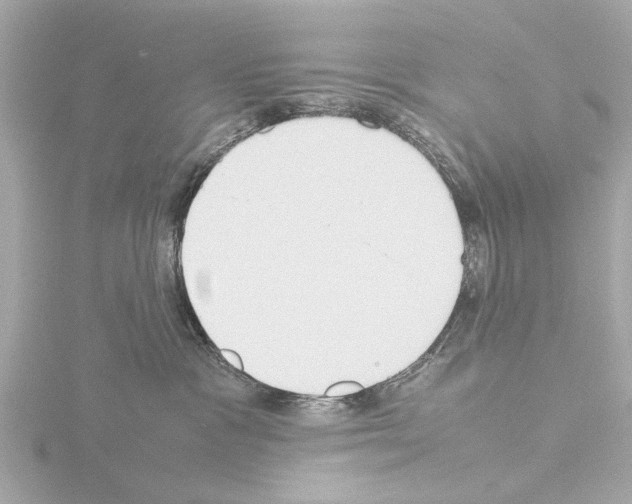 X0000115500333200912181429