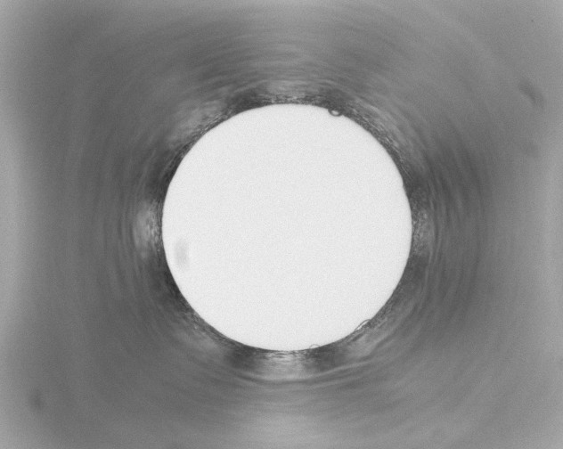 X0000115500335200912181429