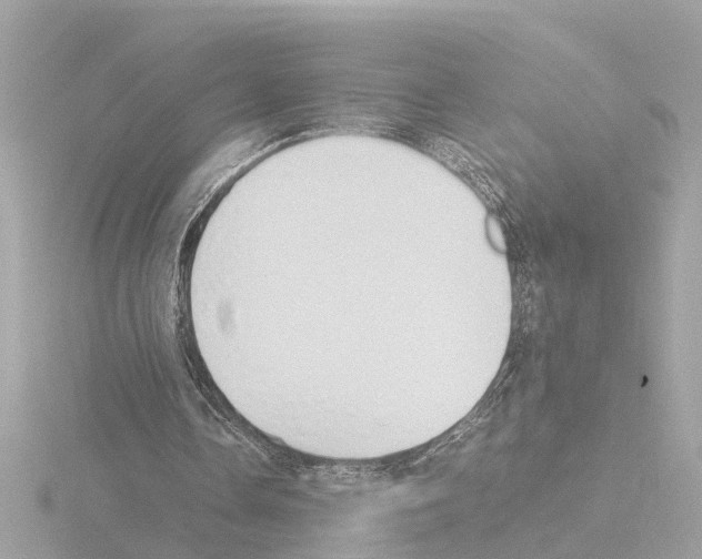 X0000115500338200912181428