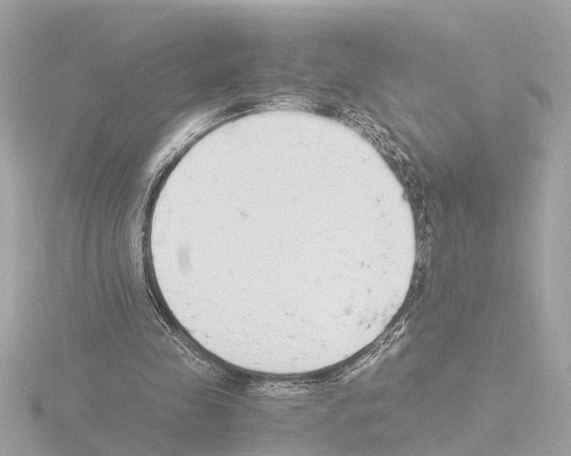 X0000115500341200912181428