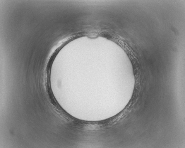 X0000115500342200912181428