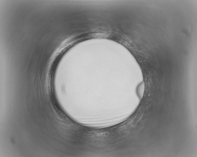X0000115500343200912181428